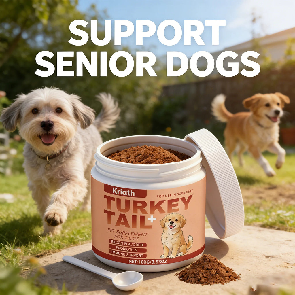Tub of bacon-flavoured turkey tail powder supplement for senior dogs with probiotics and immune support, with a spoon.