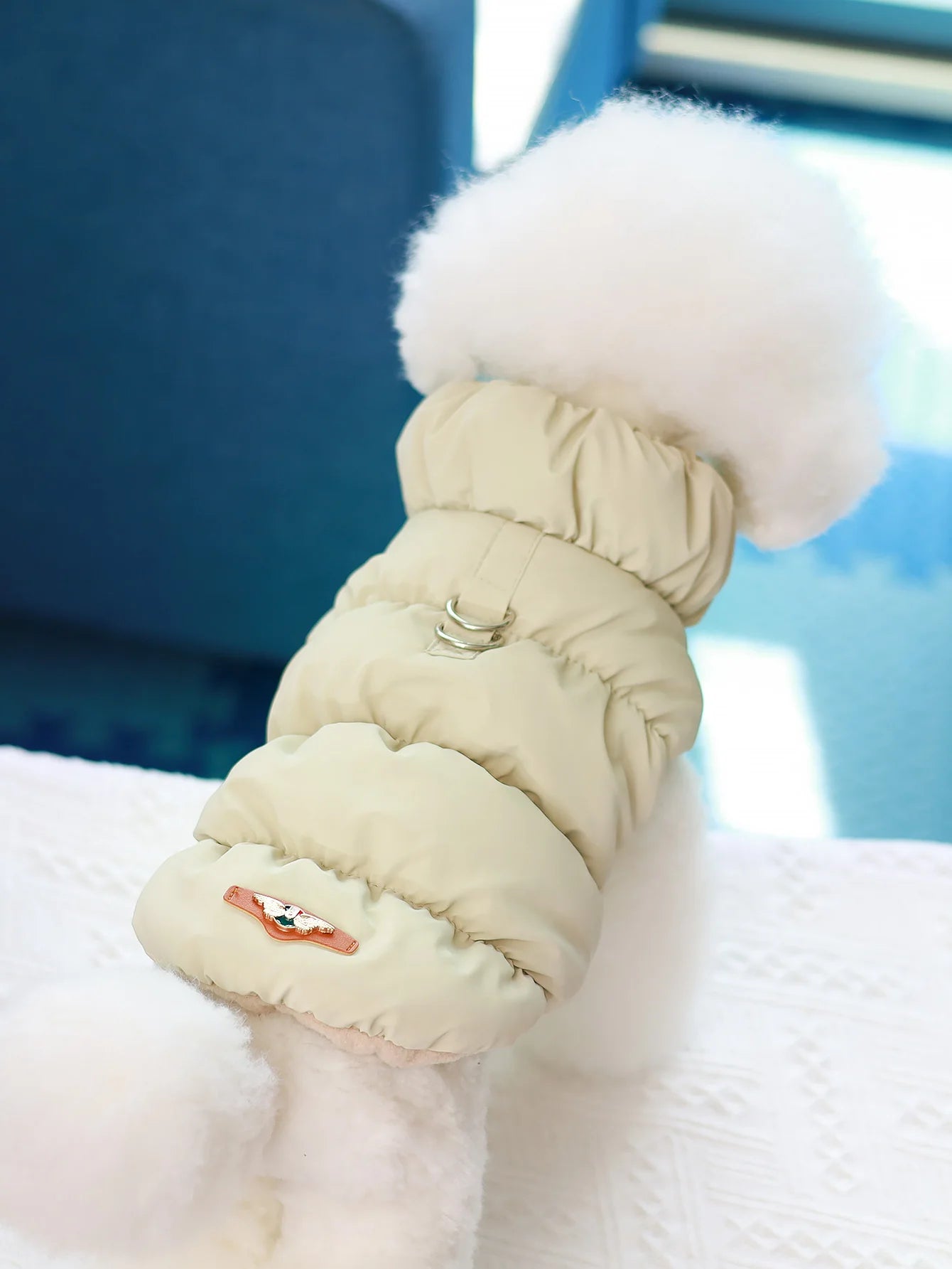 A cream-coloured, quilted 3-layer puffer dog jacket with built-in harness D-rings on a small white fluffy dog.