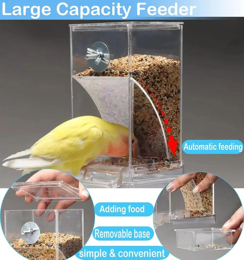Clear acrylic automatic bird feeder filled with seeds, featuring a removable base for easy refilling and cleaning.