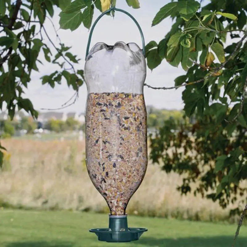 Clear plastic bottle bird feeder hanging from a tree branch, featuring a dark green base and top handle with seed.