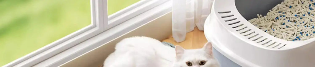 White cat lying on a beige, heavy-duty waterproof litter mat next to a grey and white covered litter box by a window.