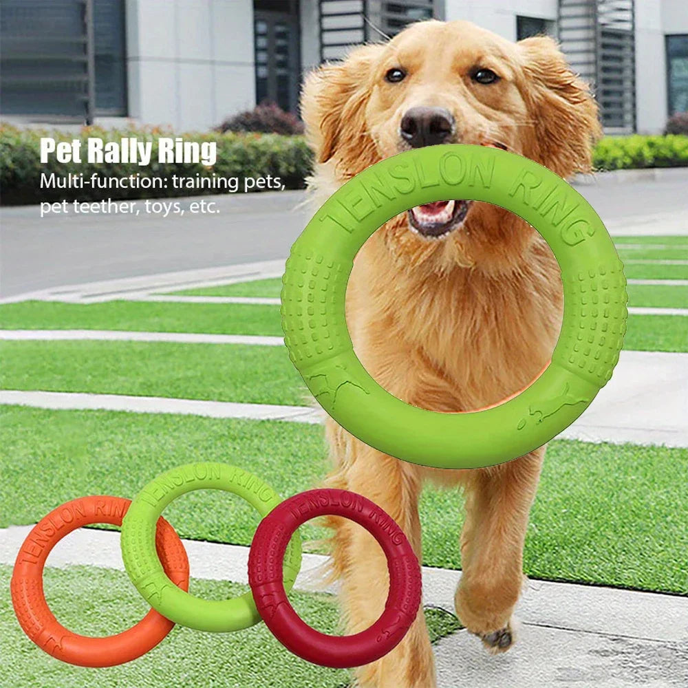 A golden dog holding a green EVA foam ring toy in its mouth, with orange, green, and red rings on the grass.