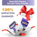 Purple pet grooming rake with dual-sided metal blades alongside its branded packaging in a gift box.