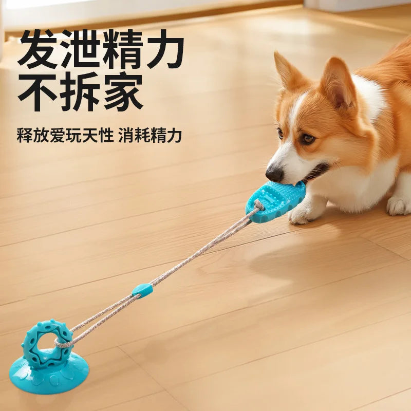 A Corgi plays with a blue, durable suction cup dog toy featuring a tethered rubber ring on a wooden floor.