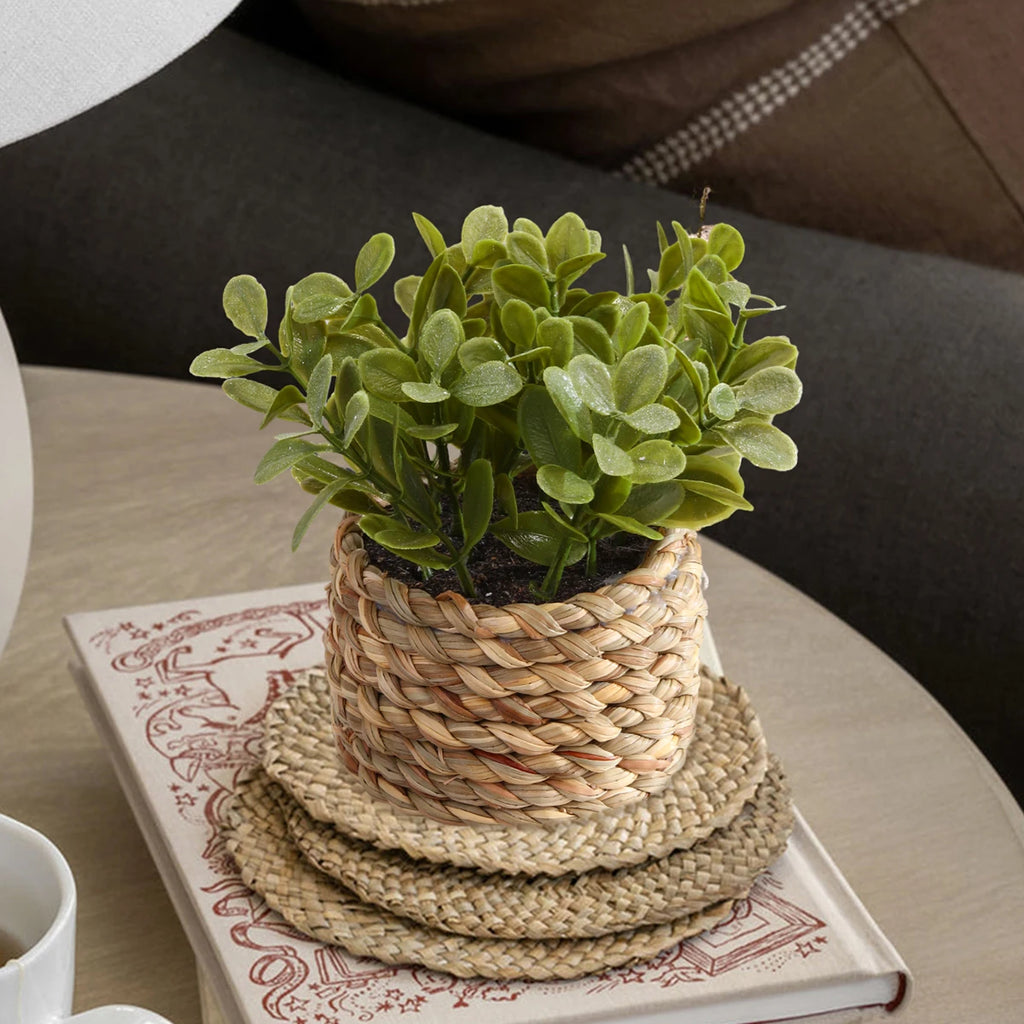 Artificial green eucalyptus plant in a woven basket pot, resting on stacked straw coasters atop a book.