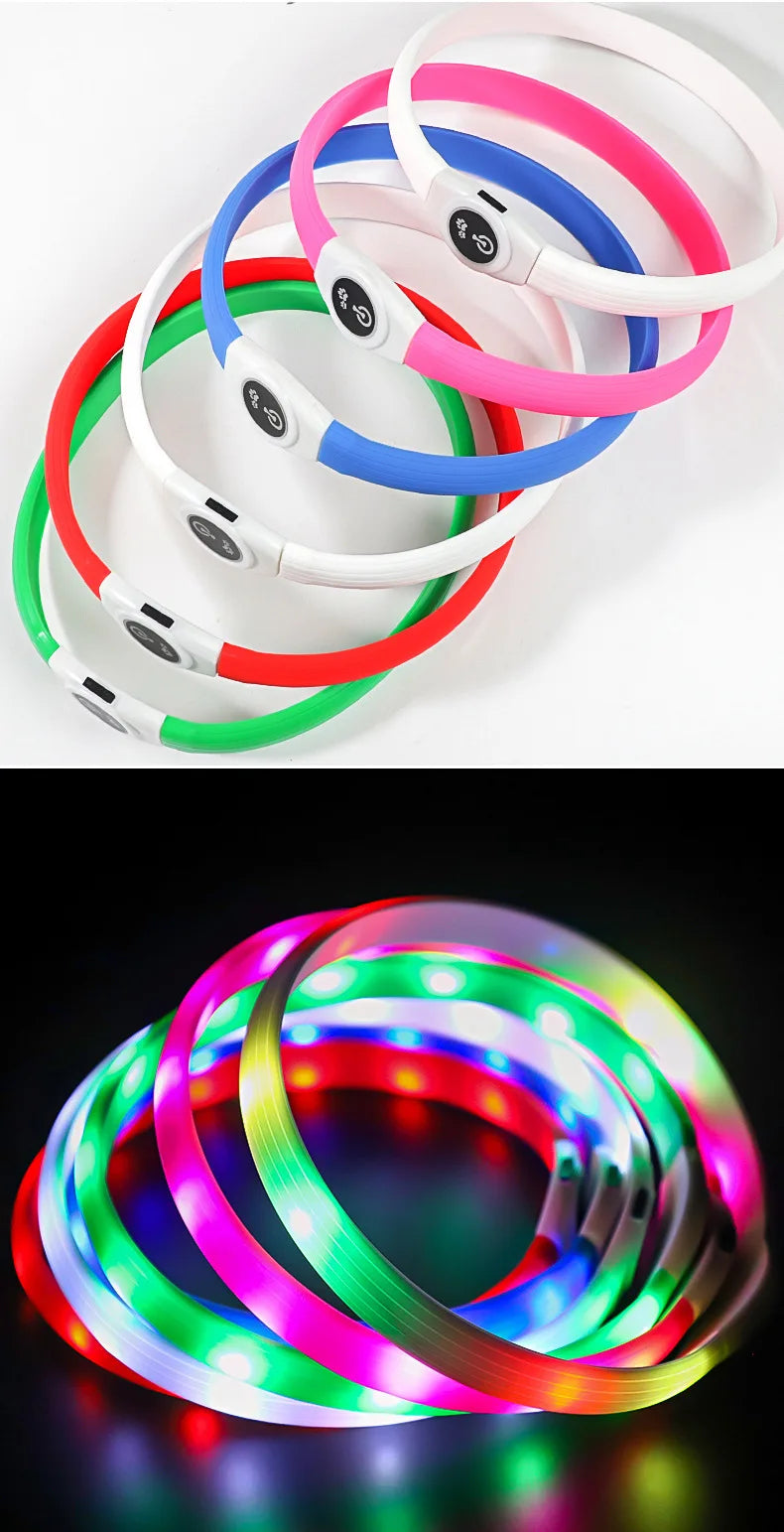 A set of waterproof LED dog collars in various bright colours, shown both off and illuminated against black backgrounds.