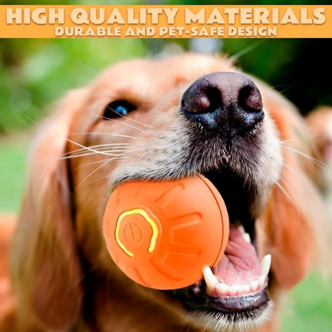 Close-up of a dog holding a textured, vibrant orange electric interactive ball toy with a yellow power button detail.