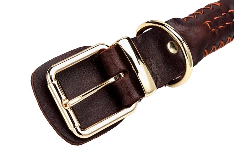 Dark brown braided leather dog collar with a gold-tone buckle and D-ring, set against a plain white background.