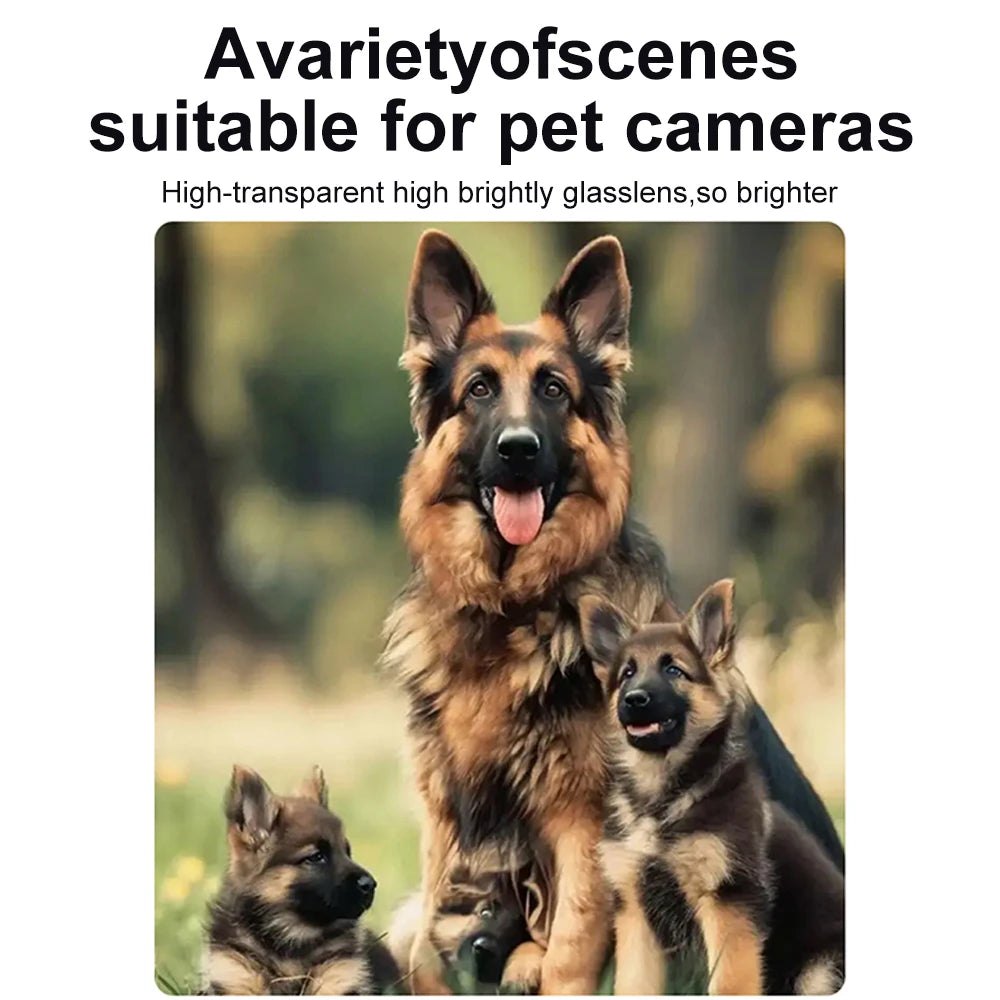 Adult and two puppy German Shepherd dogs in a grassy field, captured in high-definition quality.