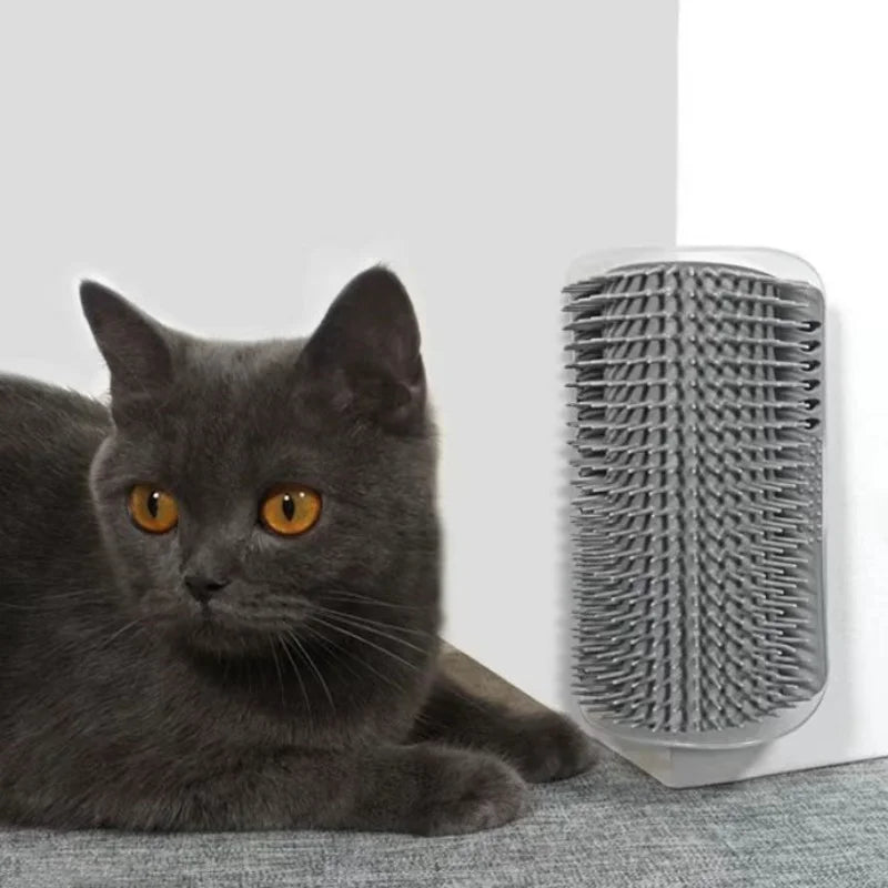 A grey cat sitting next to a grey, plastic corner-mounted wall groomer with flexible rubber bristles.