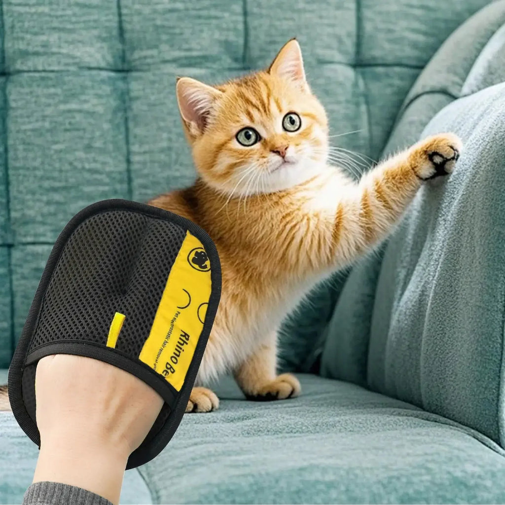 Black and yellow Rhino Be pet hair removal glove being used on a ginger kitten on a teal sofa.