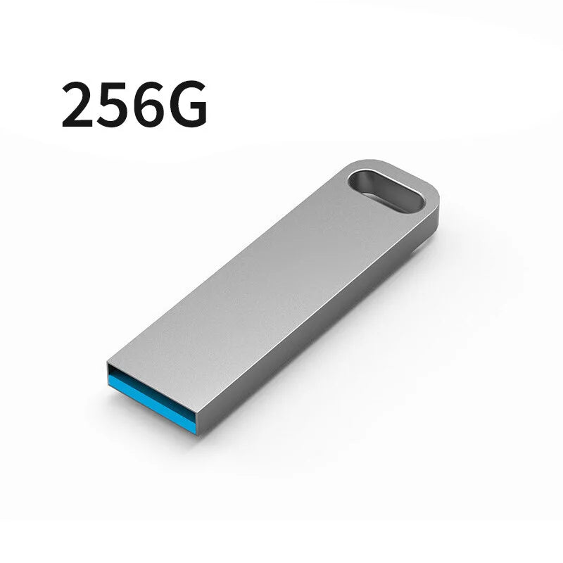 Sleek silver metal 256GB USB flash drive with a built-in key ring hole and blue connector interior.