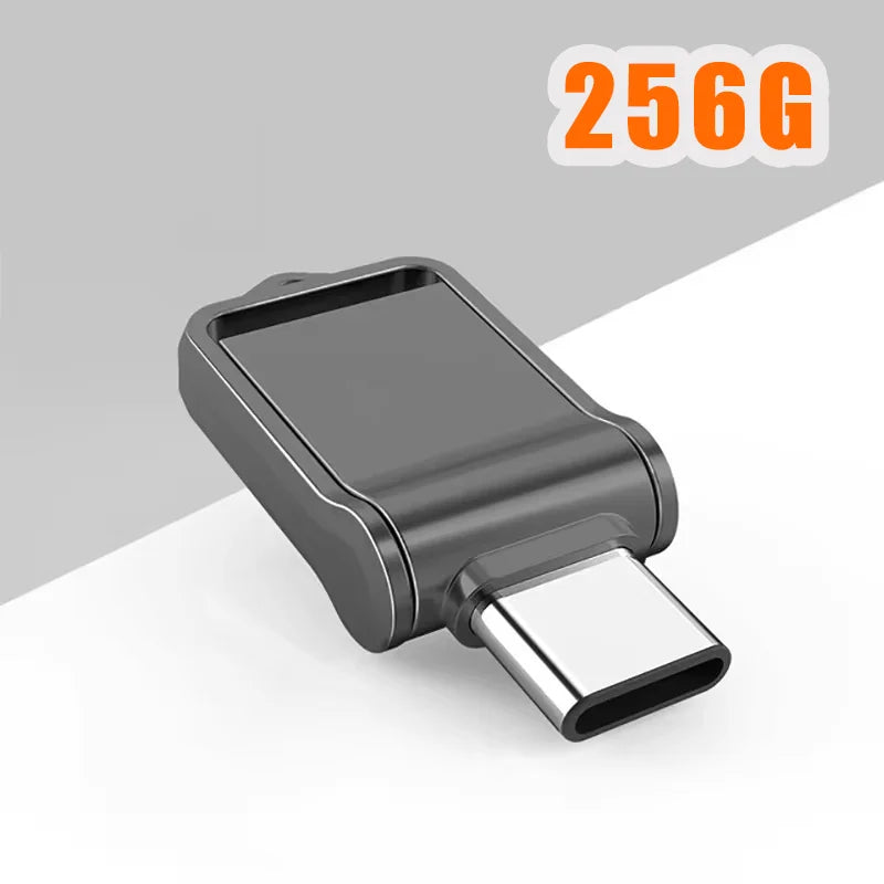 Compact 256GB dark grey USB-C flash drive with a modern, swivel-style metal design.