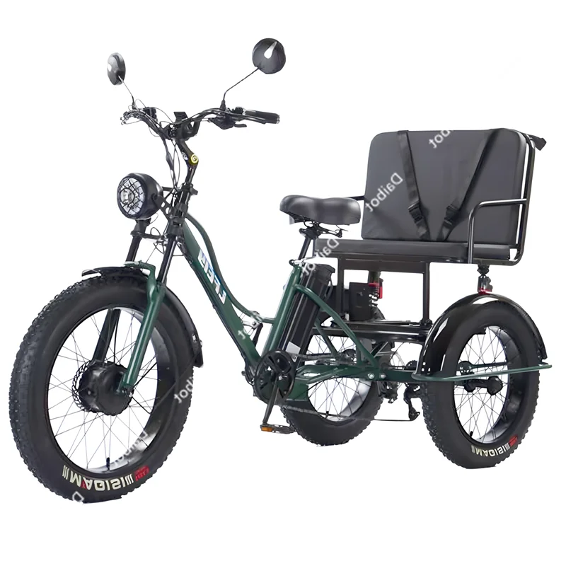 750W Fatbike Electric Bicycle 48V High Power With Passenger Seat