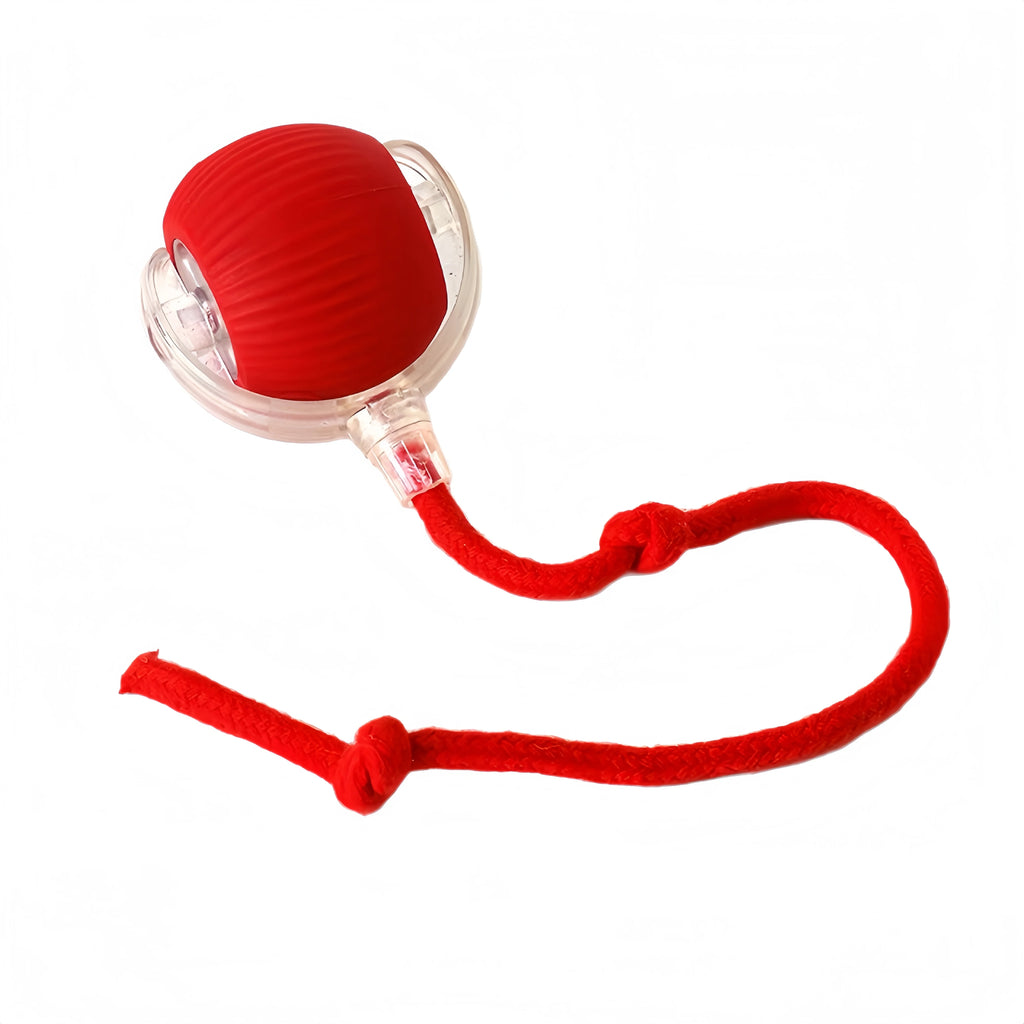 Red ribbed ball toy in a clear plastic frame with an attached red knotted rope, isolated on a white background.