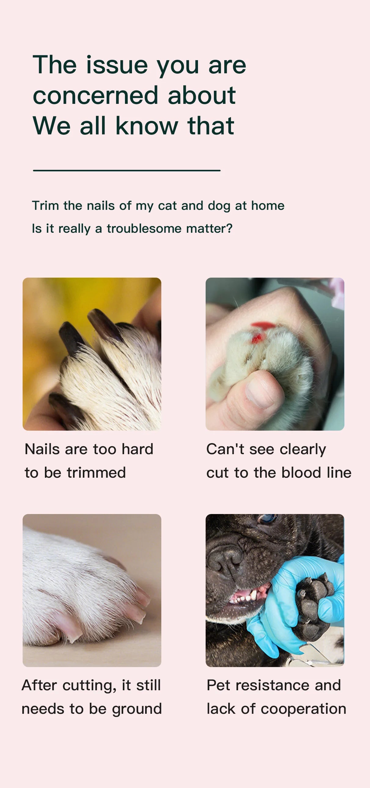 A chart highlighting common pet nail trimming issues: long nails, blood line risks, rough edges, and pet resistance.