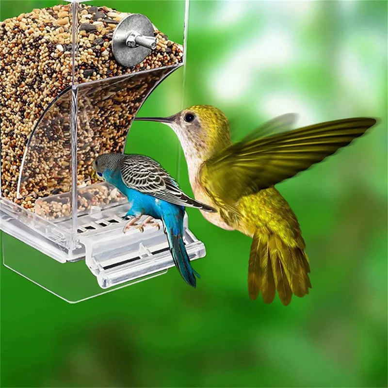 Clear acrylic bird feeder filled with mixed seeds, visited by a blue parakeet and a yellow hummingbird.