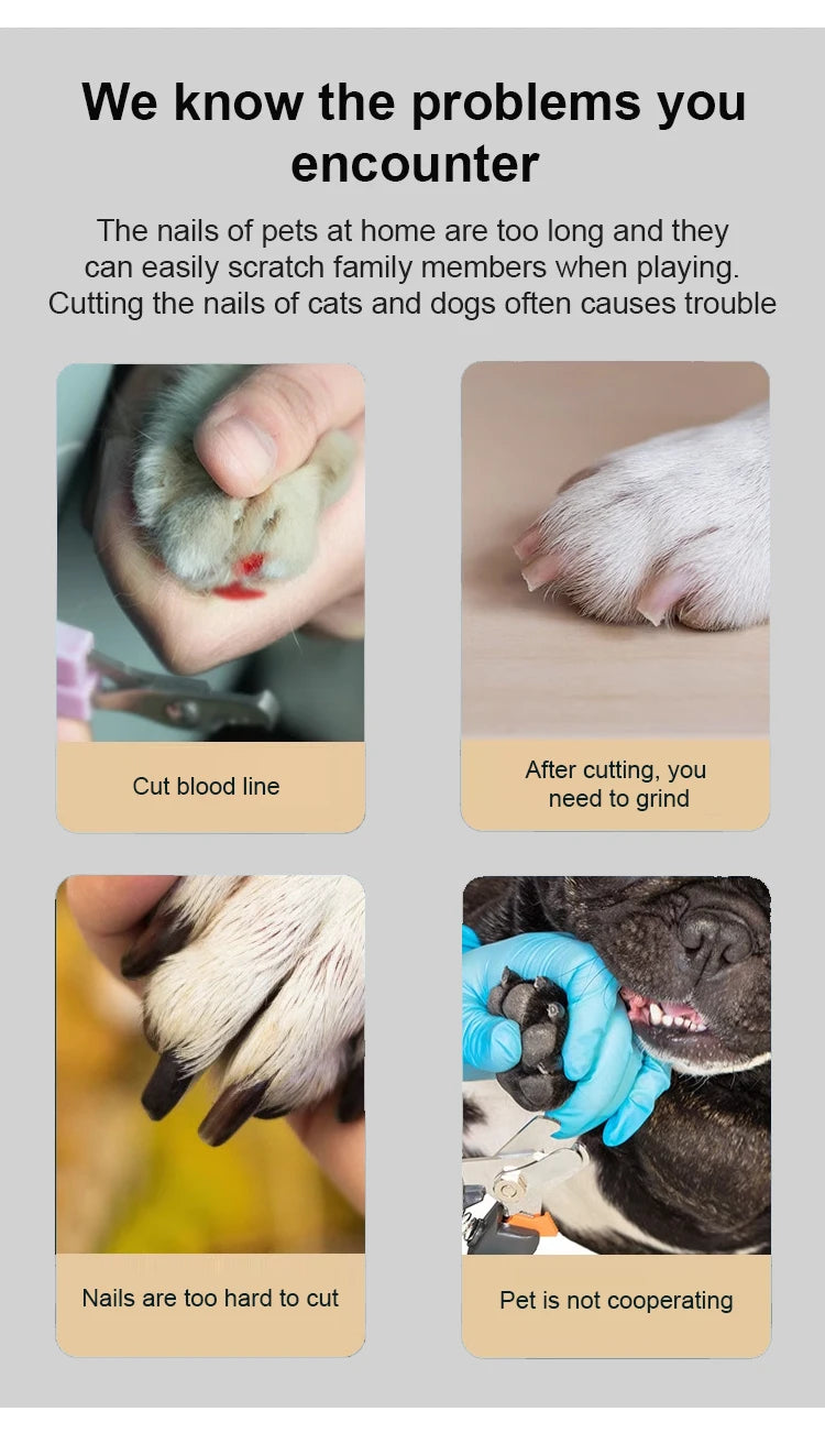Infographic showing common difficulties when trimming pet nails, including accidental cuts, rough edges, and pet resistance.