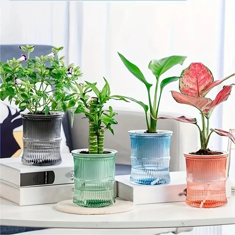 Four transparent, ribbed, double-layer self-watering pots in grey, green, blue, and orange with various indoor plants.