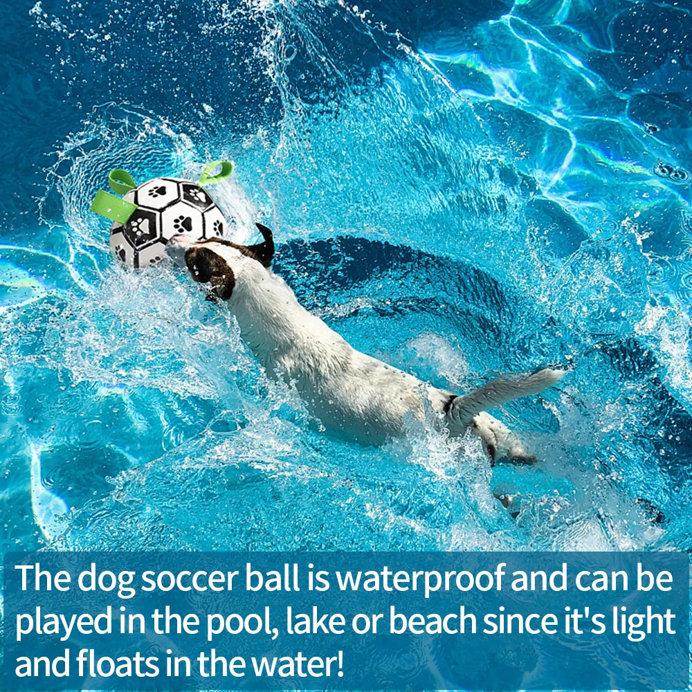 A dog playing in a swimming pool with a black and white paw-print soccer ball featuring bright green nylon straps.