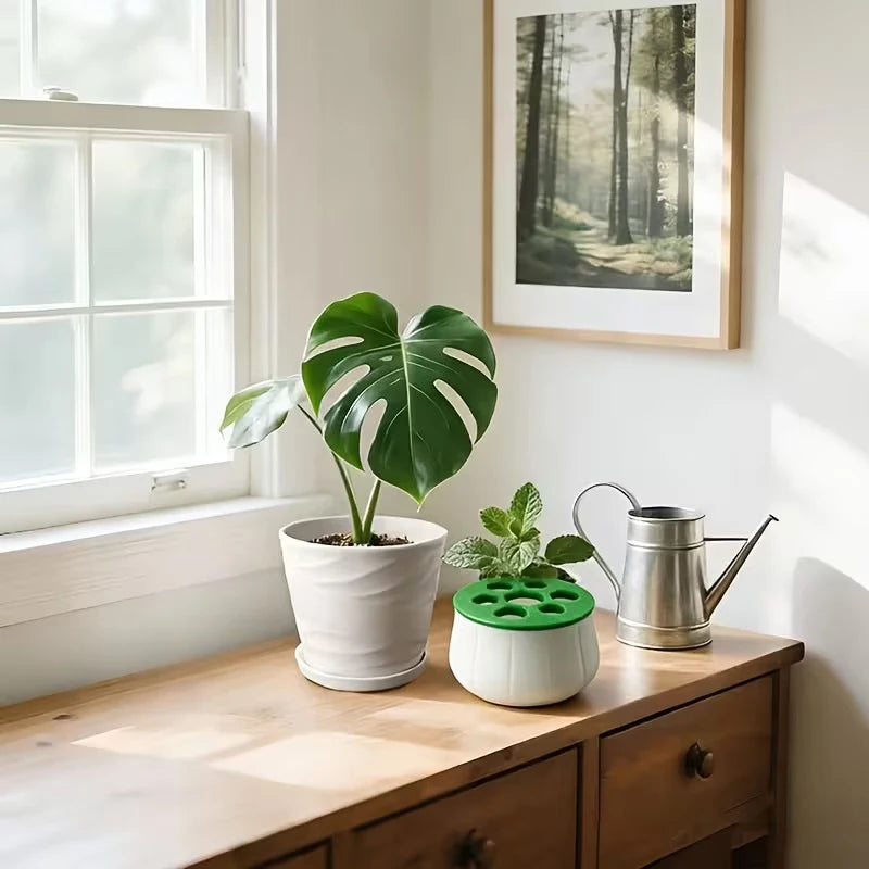 A white and green hydroponic planter sits on a wooden sideboard next to a potted monstera and a metal watering can.