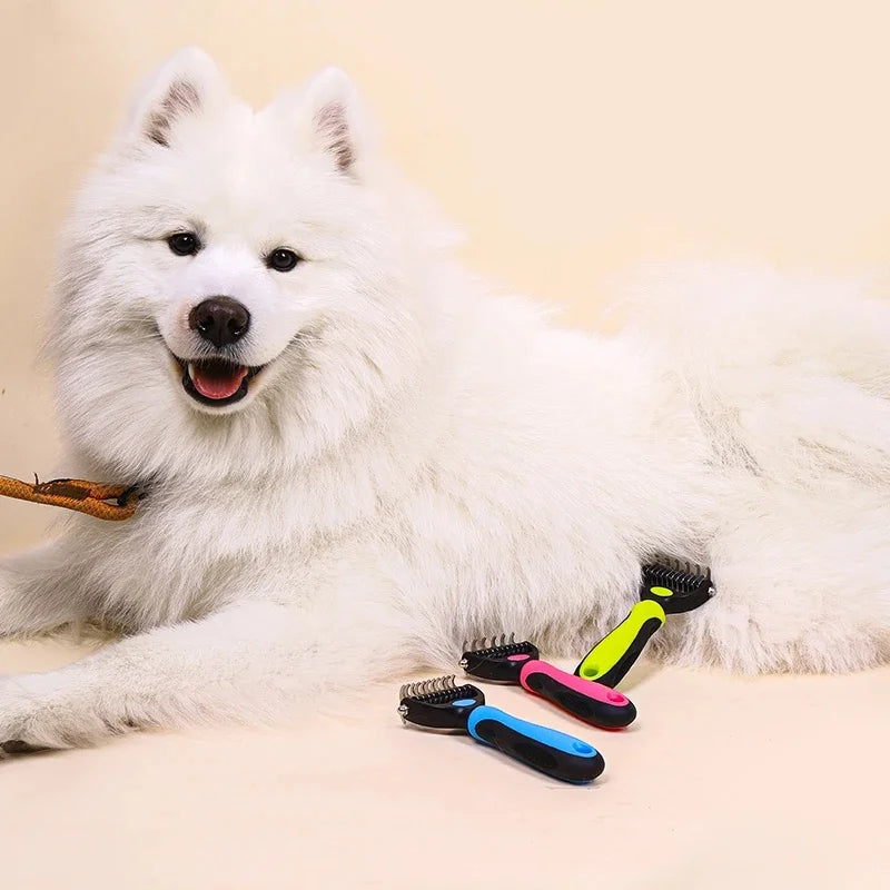 A fluffy white Samoyed dog with three multi-coloured pet de-shedding rakes in blue, pink, and lime green.