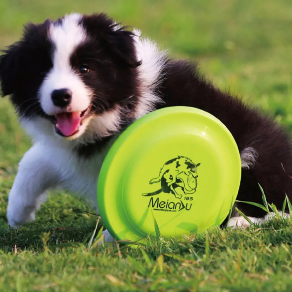 A happy black and white puppy playing on grass with a bright lime-green circular dog training fetch disc.