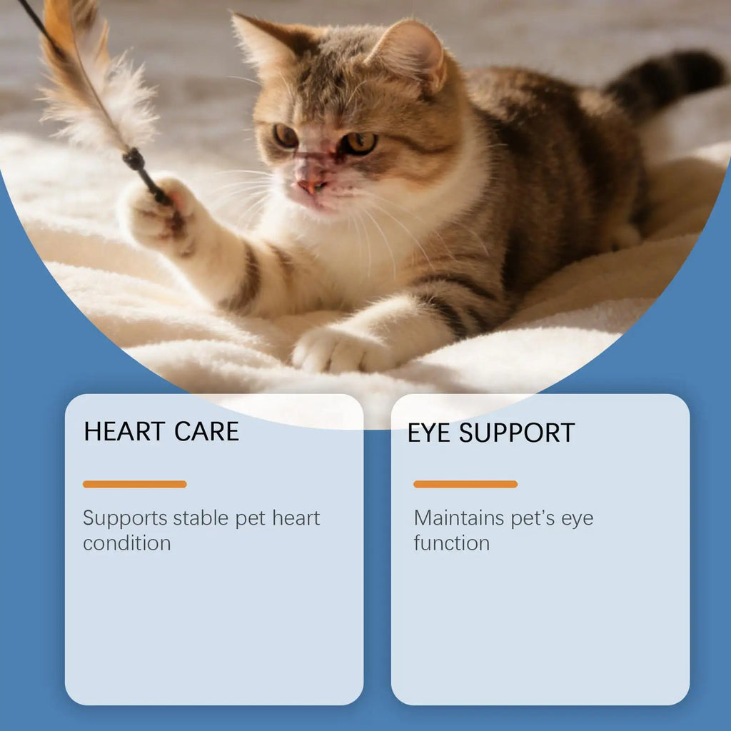 A cat playing with a feather toy, with text overlays promoting pet heart care and eye support health benefits.