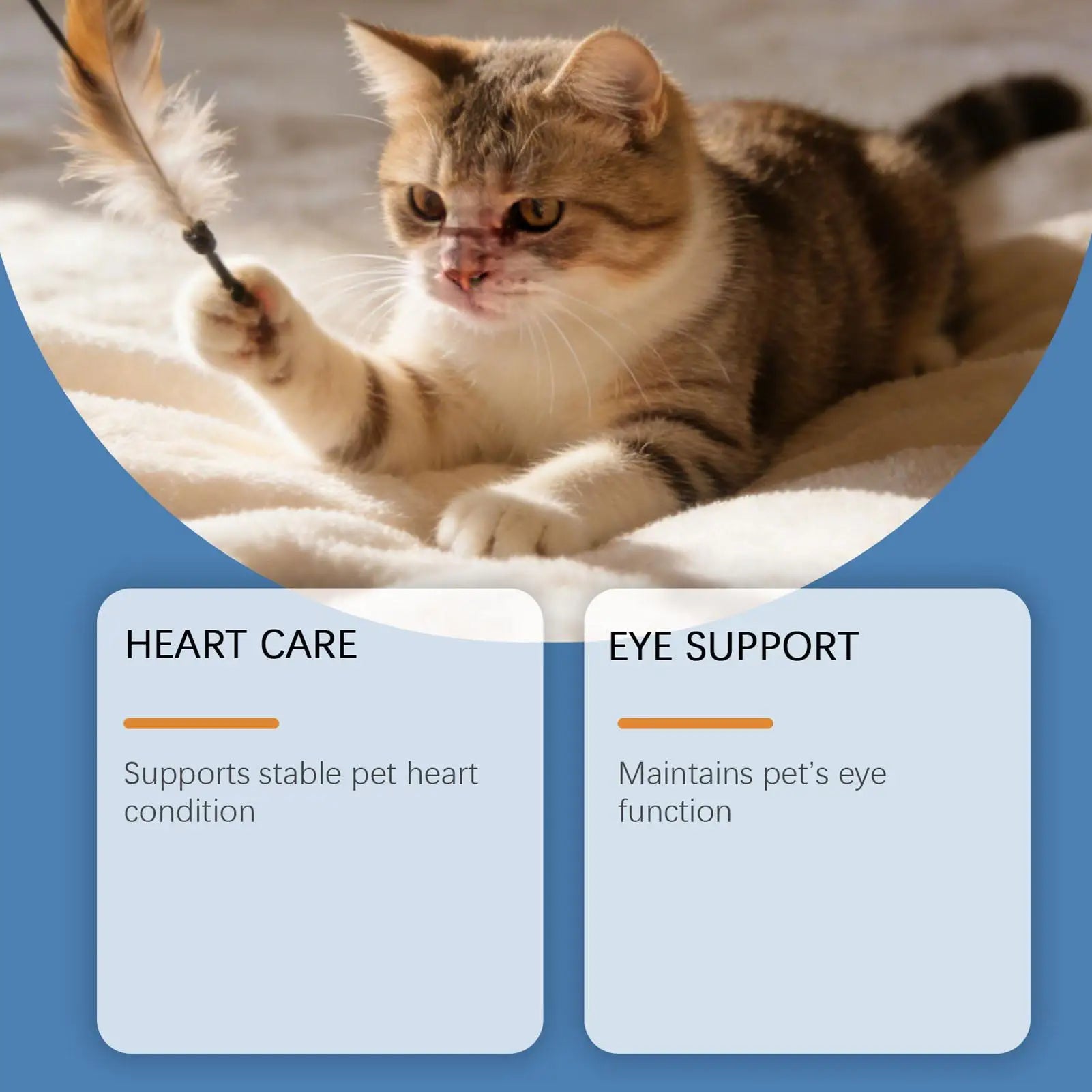 A cat playing with a feather toy, with text overlays promoting pet heart care and eye support health benefits.