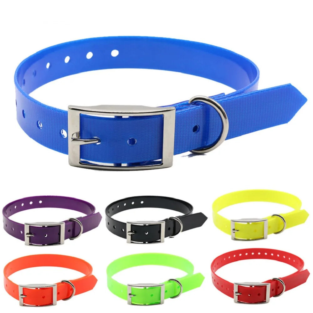 A selection of waterproof, reflective dog collars with metal buckles and D-rings, available in various bright colours.