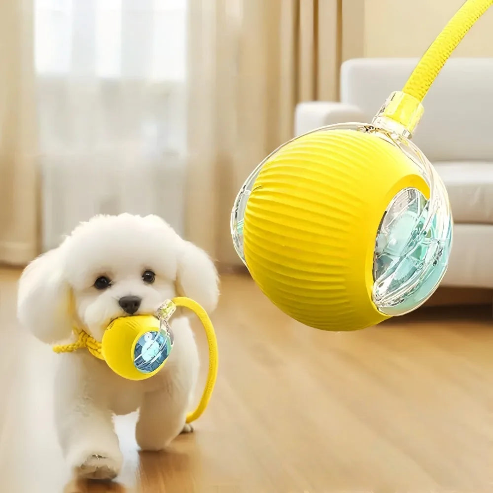 A small white dog carries a bright yellow, textured interactive ball toy with a matching yellow lead in its mouth.