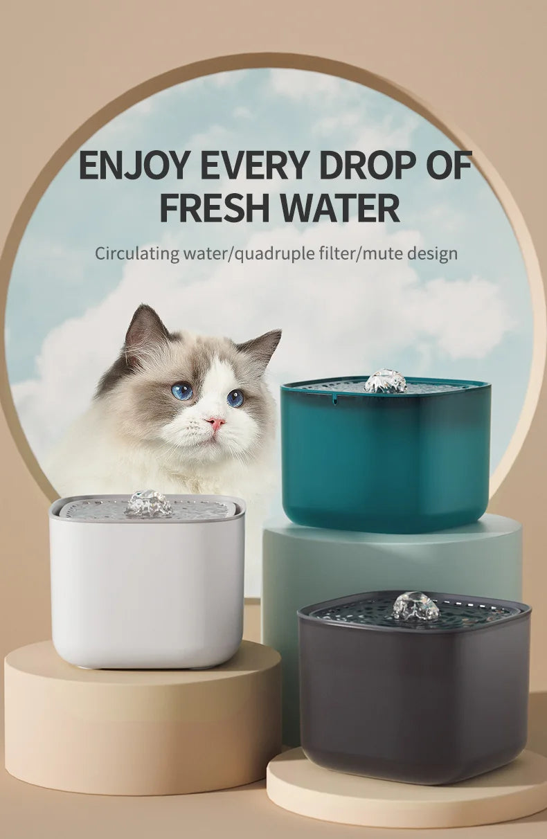 Square pet water fountains in white, teal, and charcoal, displayed on pedestals next to a fluffy cat.