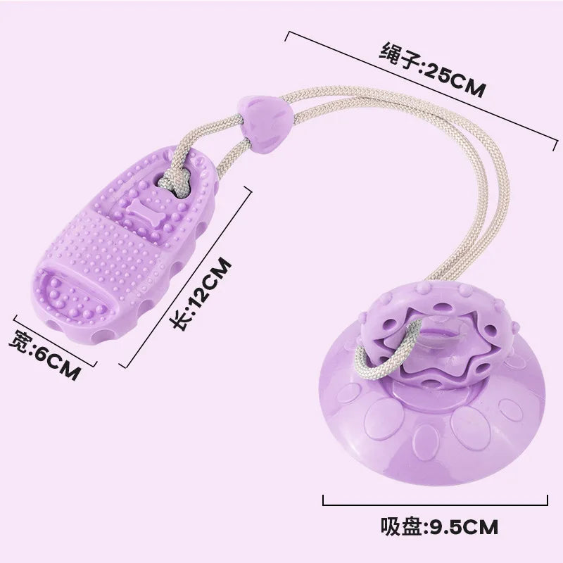 Purple interactive dog toy with a textured chew end and a strong suction cup base connected by a durable rope.