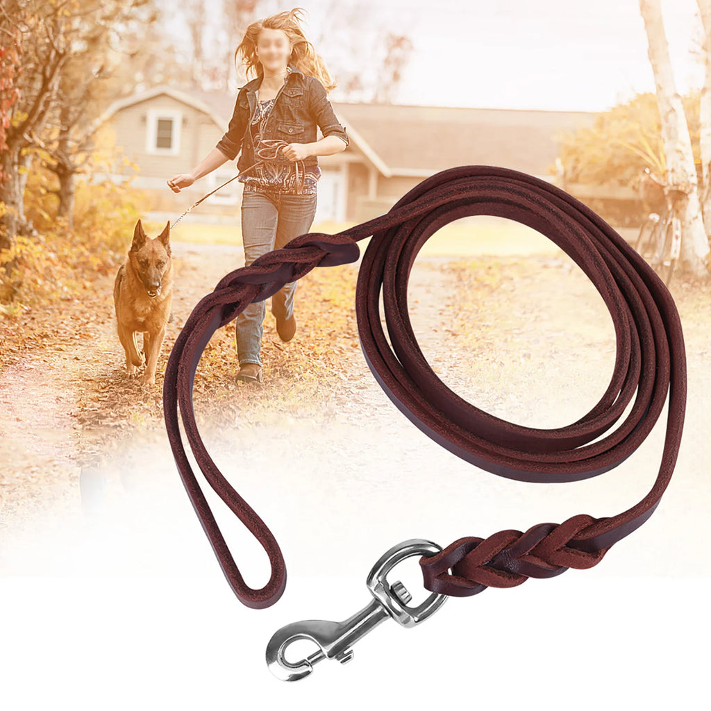 Dark brown leather dog lead featuring braided detailing and a sturdy silver-tone metal clip.