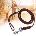 Dark brown leather dog lead featuring braided detailing and a sturdy silver-tone metal clip.
