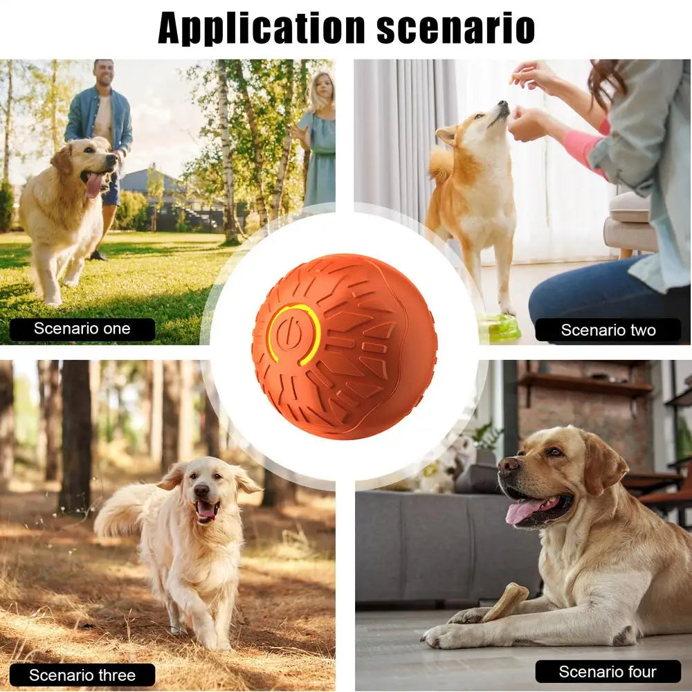 Orange textured interactive dog ball with central power button, shown being used by various dogs indoors and outdoors.