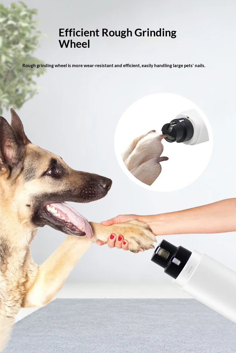 White electric pet nail grinder with a black grinding head being used on a dog's paw. Includes a close-up inset.