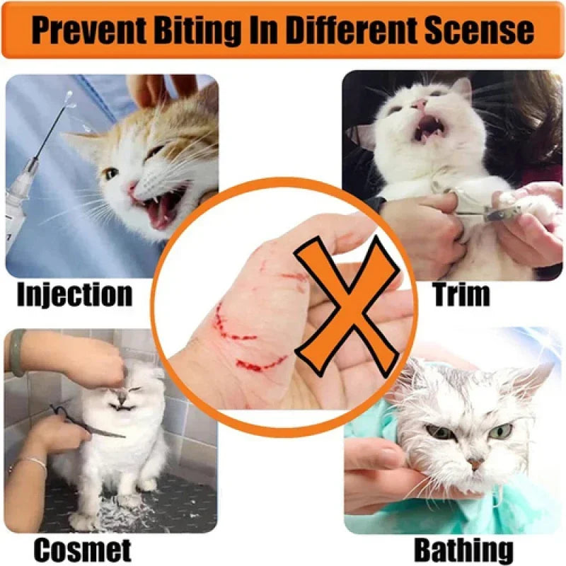 Four images showing a cat being injected, trimmed, groomed, and bathed, with a crossed-out image of a scratched hand.