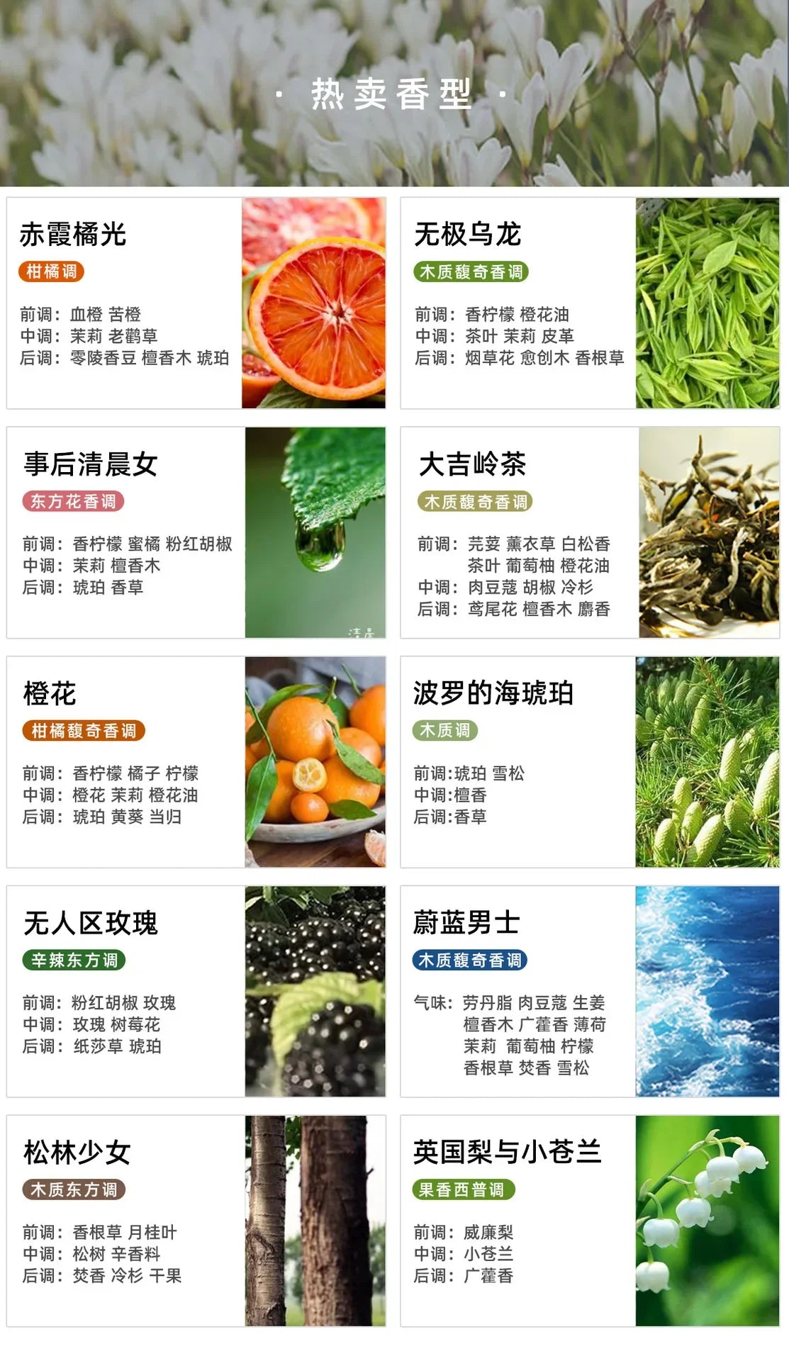 A grid displaying ten popular perfume scent profiles with descriptive ingredient notes and vibrant botanical imagery.