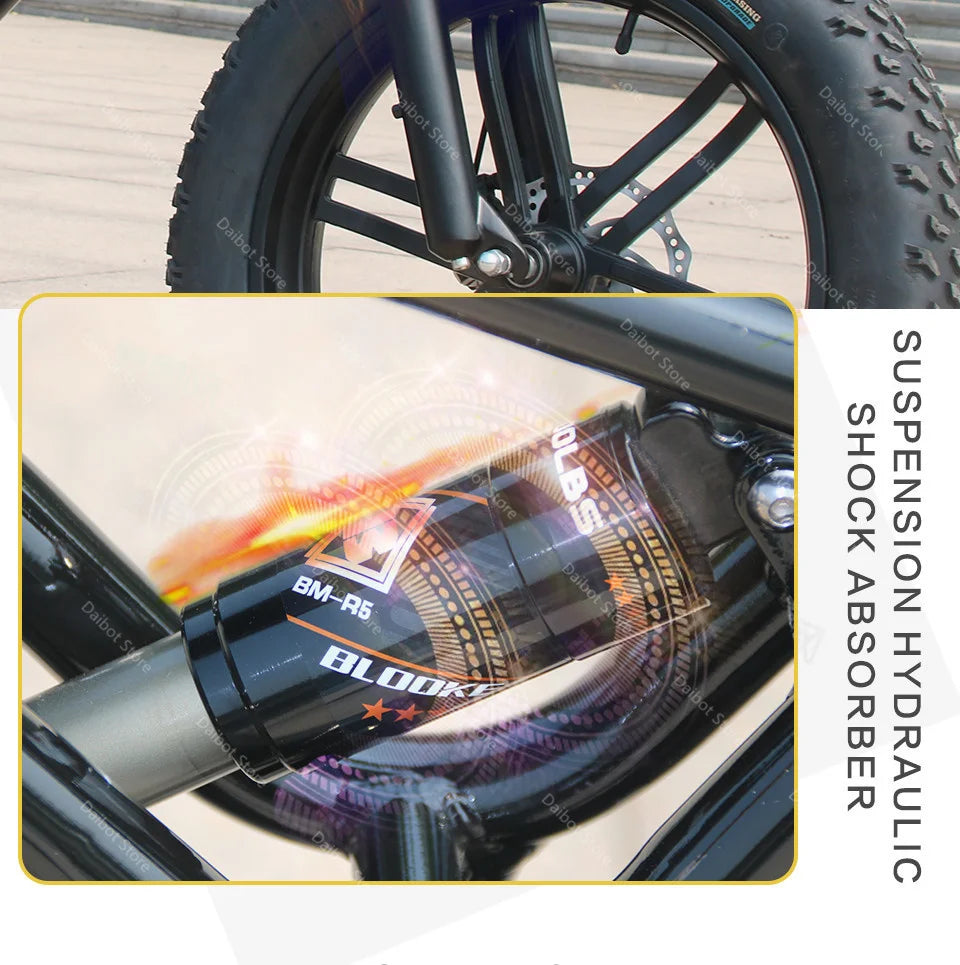 Powerful Electric bike 750W 48V Fat Tire bike