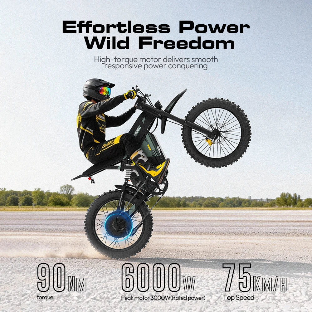 COSWHEEL R6000 6000W Dual Motor 60V 30AH ,Dual Suspension