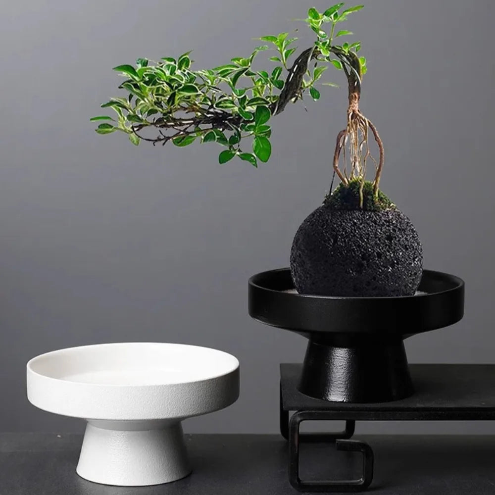 A bonsai tree on a black textured moss ball, displayed on a black pedestal stand beside an empty white pedestal dish.