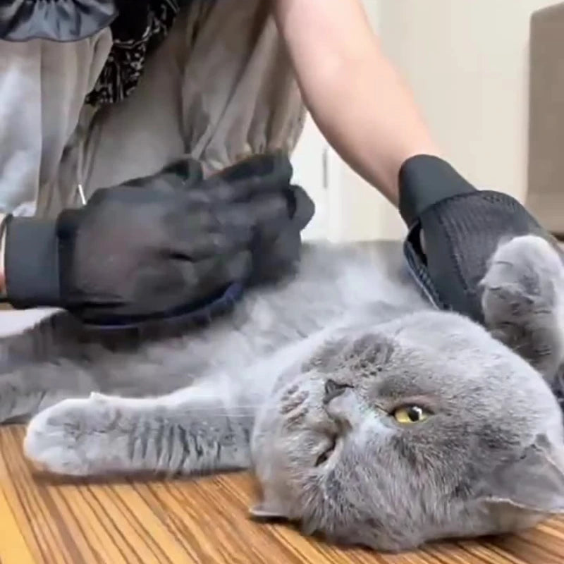 A person using black grooming gloves to brush a fluffy grey cat lying on its back.