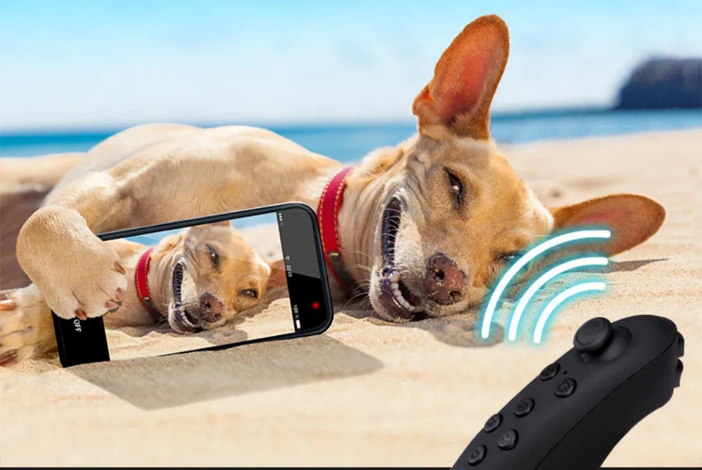 Black wireless VR remote controller with a joystick and buttons, shown against a beach scene background.