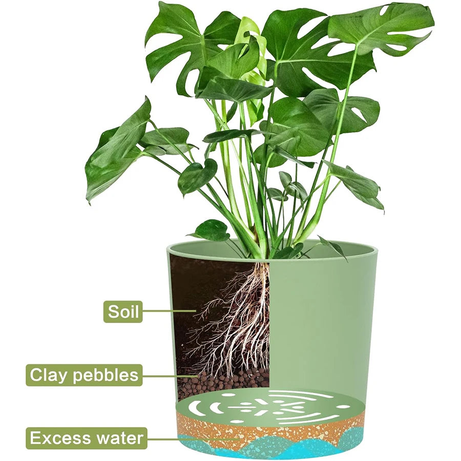 A monstera plant in a sage green pot with a cutaway view showing soil, clay pebbles, and a drainage reservoir.