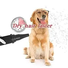 A black professional pet hair dryer nozzle next to a happy golden dog, with a clock icon indicating fast drying.