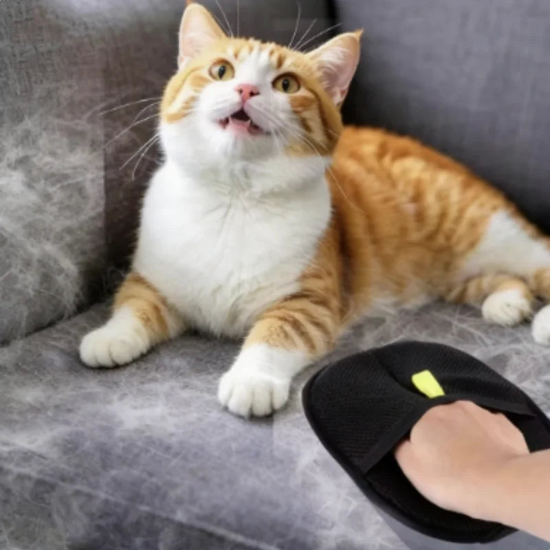 A hand uses a black pet hair removal mitt on a sofa next to a ginger and white cat.