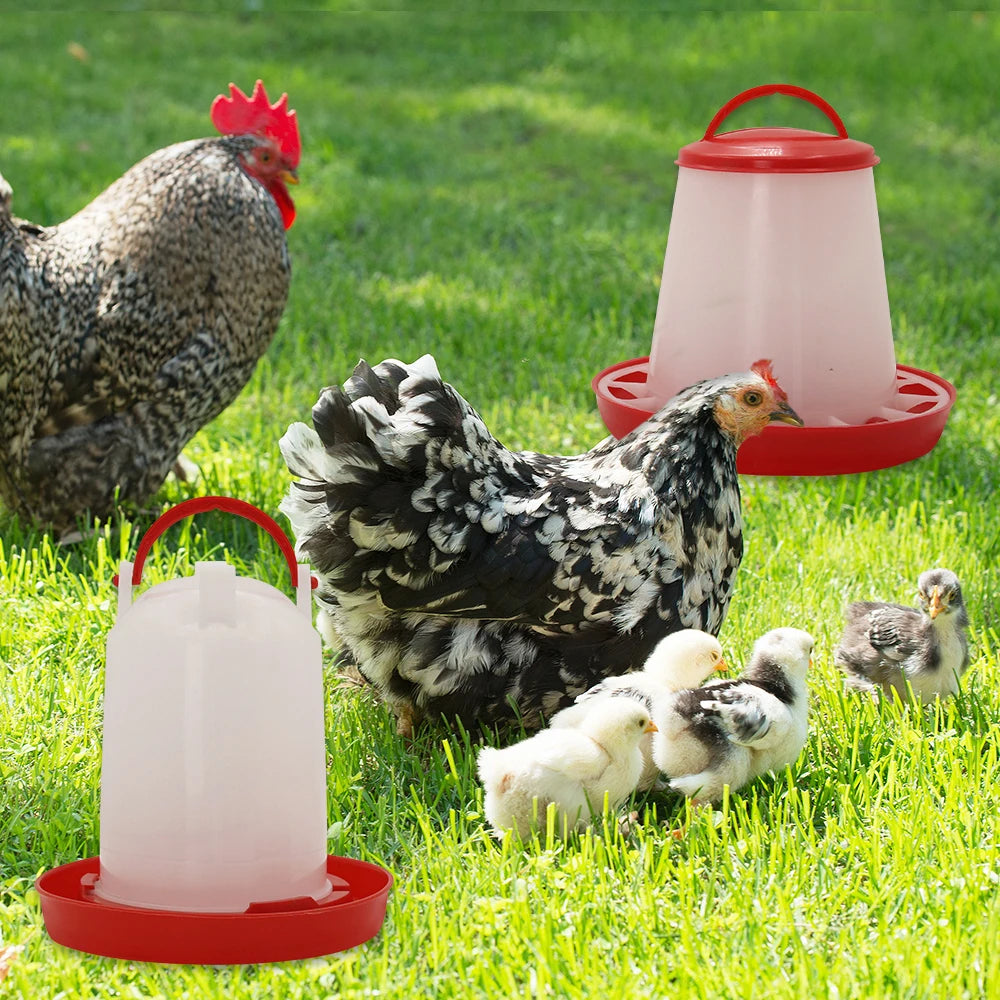 Two red and white plastic chicken waterers with carry handles, set against a background of chickens in a grassy yard.