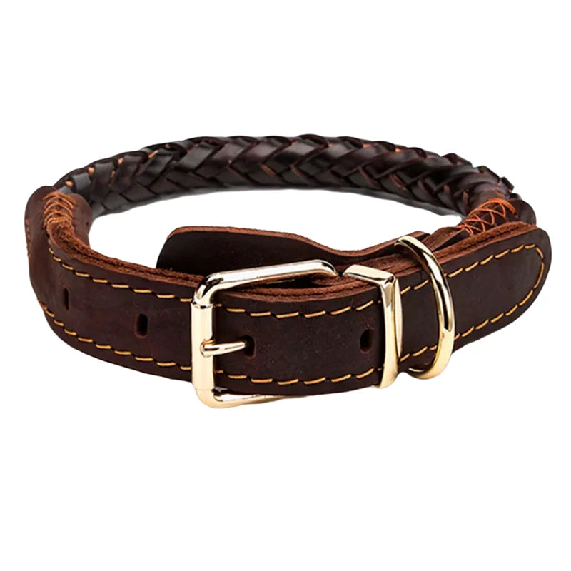 Dark brown braided leather dog collar with gold-tone metal buckle and D-ring, featuring contrast stitching.