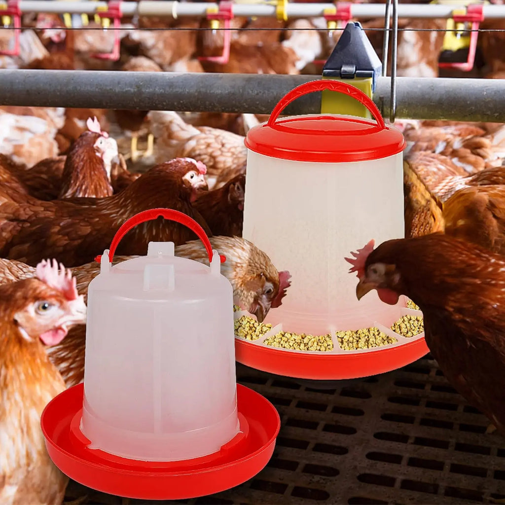 Two plastic chicken feeders with white translucent cylinders and bright red bases and handles in a poultry coop.